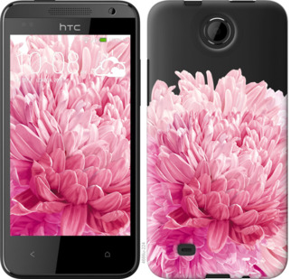 

Чохол Хризантема на HTC Desire 300 844234
