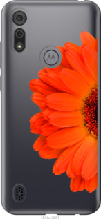

Чехол Гербера 1 для Motorola E6i 1589616