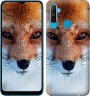 

Чехол Рыжая лисица для Realme C3 933923
