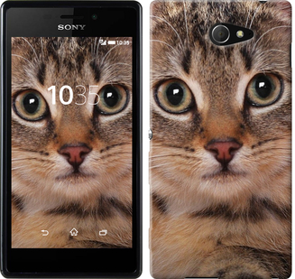 

Чехол Полосатый котик для Sony Xperia M2 D2305 175711