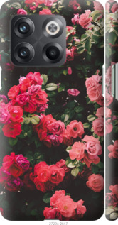 

Чохол Кущ з трояндами на OnePlus 10T 1502452