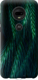 

Чохол Колоски для Motorola Moto G7 942443
