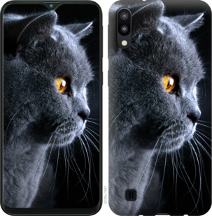 

Чохол Гарний кіт на Samsung Galaxy A01 A015F 894600
