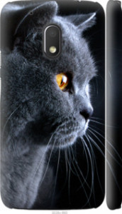 Чехол Красивый кот для Motorola Moto G4 Play