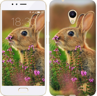 Чехол Кролик и цветы для Meizu M5s