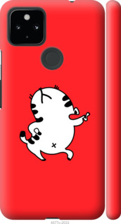 

Чехол Котик для Google Pixel 5 XL 1428579