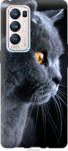 Чехол Красивый кот для Oppo Reno5 Pro Plus