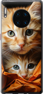 Чехол Котики 2 для Huawei Mate 30 Pro