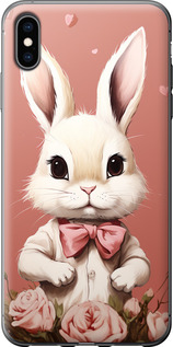 

Чохол Зайчик на iPhone XS Max 1650472