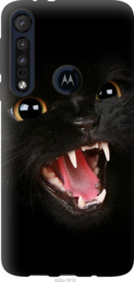 

Чохол Чорна кішка на Motorola One Macro 1571804