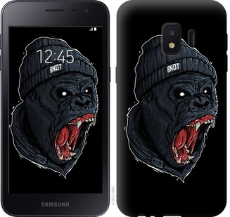 

Чохол Мавпа в люті на Samsung Galaxy J2 Core 676508