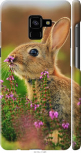 Чехол Кролик и цветы для Samsung Galaxy A8 Plus 2018 A730F