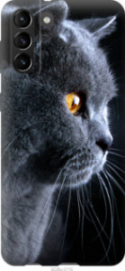 Чехол Красивый кот для Samsung Galaxy S21 Plus