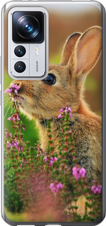 

Чехол Кролик и цветы для Xiaomi 12T 1696228