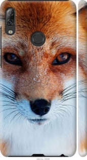

Чехол Рыжая лисица для Lenovo K5 Pro 692305
