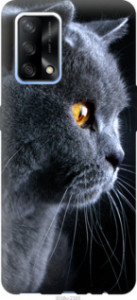 Чехол Красивый кот для Oppo A74