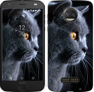 

Чохол Гарний кіт на Motorola Moto G5 PLUS 700862