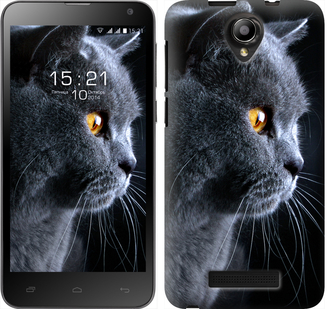 

Чехол Красивый кот для Fly IQ4514 242665