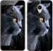 Чехол Красивый кот для Meizu M5