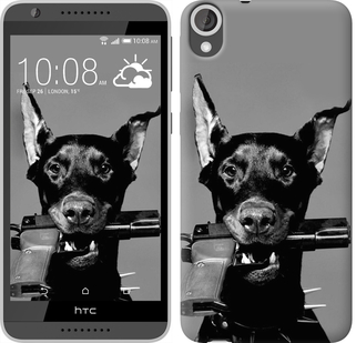 

Чохол Доберман на HTC Desire 820 122780