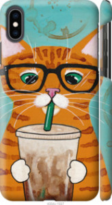 Чохол Зеленоокий кіт в окулярах на iPhone XS Max