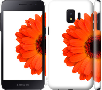 

Чехол Гербера 1 для Samsung Galaxy J2 Core 802394