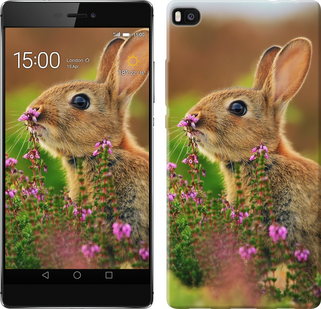 

Чохол Кролик і квіти на Huawei Ascend P8 150096