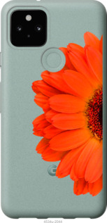 

Чехол Гербера 1 для Google Pixel 5 1589664