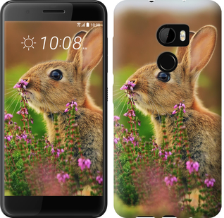 

Чохол Кролик і квіти на HTC One X10 468449