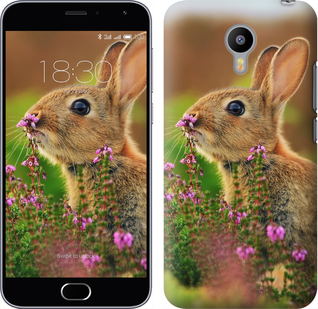 

Чехол Кролик и цветы для Meizu M2 150060