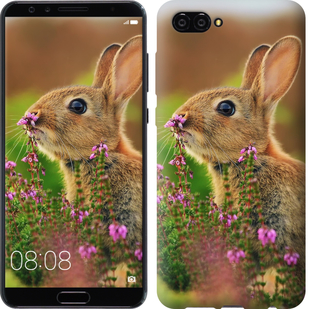

Чехол Кролик и цветы для Huawei Nova 2S 656667