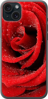 Чехол Красная роза для iPhone 15 Plus