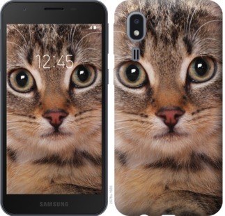 

Чохол Смугастий котик на Samsung Galaxy A2 Core A260F 764336