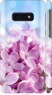 

Чохол Бузок на Samsung Galaxy S10e 1013982