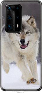 

Чохол Вовк що біжить на Huawei P40 Pro Plus 1588116