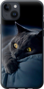 Чехол Дымчатый кот для iPhone 14 Plus