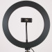 Фото Кольцевая светодиодная LED лампа Flat Ring 8" (Black) на vchehle.ua
