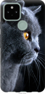 Чехол Красивый кот для Google Pixel 5