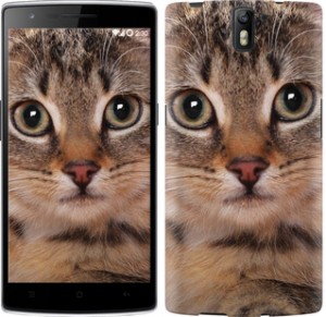 Чохол Смугастий котик на OnePlus 1