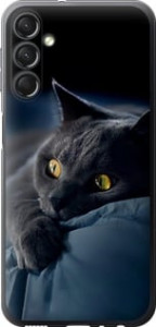Чехол Дымчатый кот для Samsung Galaxy A24 A245F