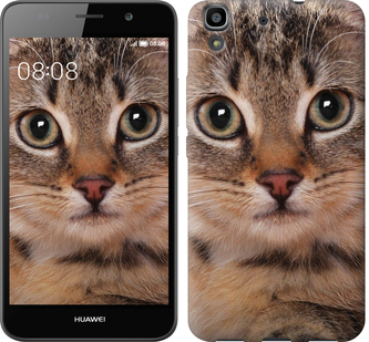 

Чехол Полосатый котик для Huawei Y6 175810