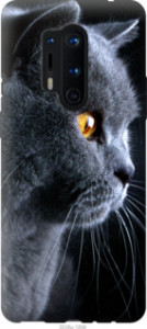 Чехол Красивый кот для OnePlus 8 Pro