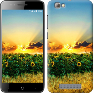 

Чохол Україна на ZTE A610 655348