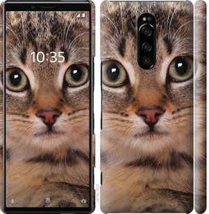 

Чехол Полосатый котик для Sony Xperia XZ4 699129