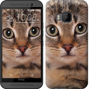 

Чохол Смугастий котик на HTC One M9 175580