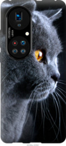 Чохол Гарний кіт на Huawei P50