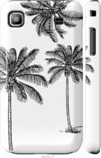 

Чехол Пальмы1 для Samsung Galaxy S i9000 1019087