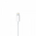 Замовити Уценка Наушники Apple EarPods with Lightning Connector (ААА) на vchehle.ua