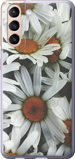

Чехол Ромашки v2 для Samsung Galaxy S21 1624372