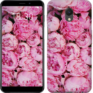 

Чехол Пионы v3 для Meizu M6s 656489